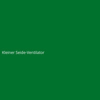 Kleiner Seide-Ventilator