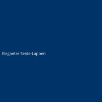 Eleganter Seide-Lappen