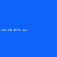 Imposante Marmor-Kanne